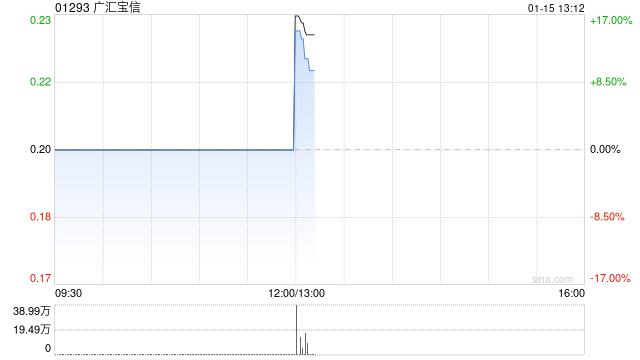 广汇宝信：1月15日下午1时正起复牌